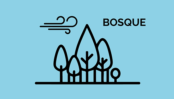 bosque-min