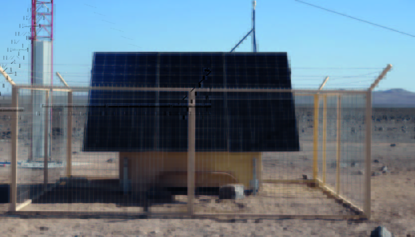 bosque-patagonia-desierto-06-min
